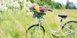 bicycle, flower background, meadow